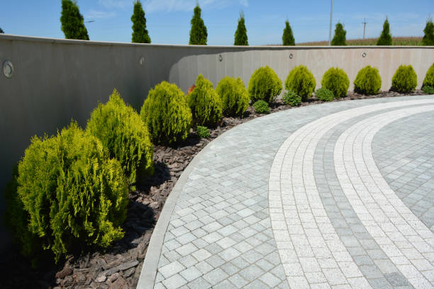 Best Cobblestone Driveway Pavers  in Zimmerman, MN